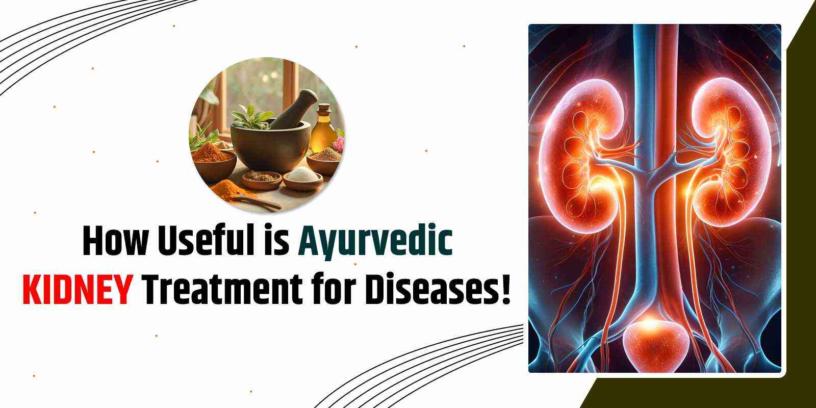 How Useful is Ayurvedic Kidney Treatment for Diseases!